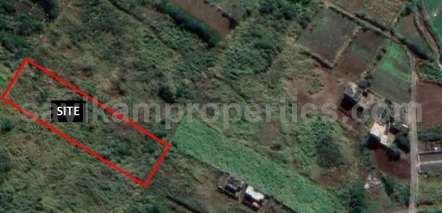 SOLFERINO 5 (Vacoas-Phoenix) Agricultural Land for sale (1 Arpent )