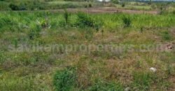 PONT BON DIEU (Flacq) – Agricultural land for sale of 50 or 100 Perches
