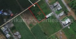 NEW GROVE (Grand Port) Agritultural Land for sale (59 P.)