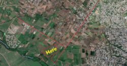 SOLFERINO N°5, residential or commercial land for sale