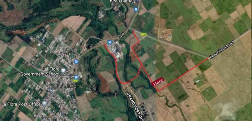 Agricultural land for Sale at La Flora in Rose bell Mauritius, 1A20 (120 perches)