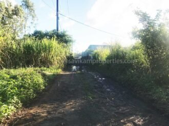 3.5 Arpent Agricultural land in Laventure at Flacq