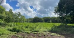 Residential plot for sale in a gate estate Domaine Palmyre, Black River