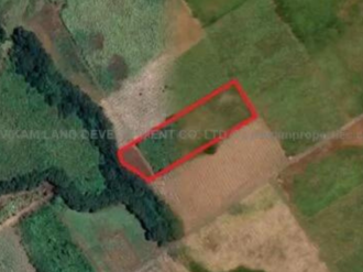 Agricultural Land for Sale at LA FLORA