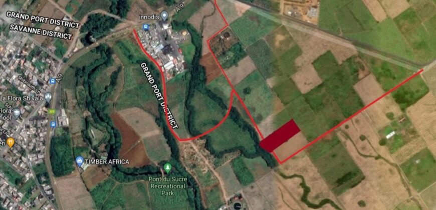 Agricultural Land for Sale at LA FLORA