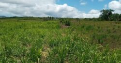 Agricultural Land for Sale at PONT BONDIEU