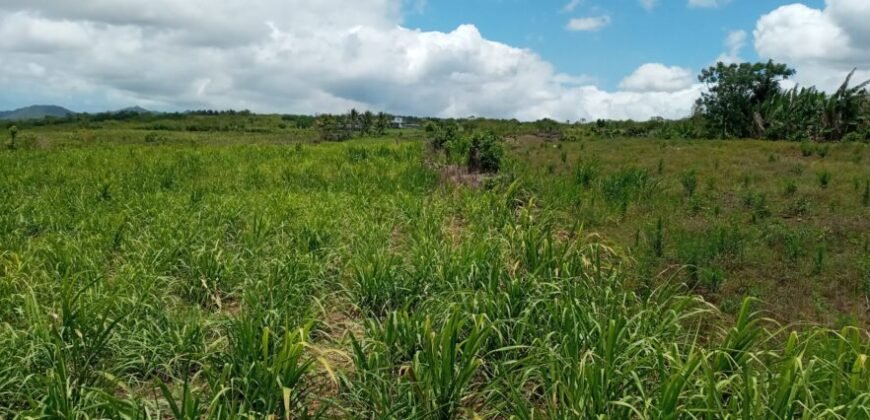 Agricultural Land for Sale at PONT BONDIEU