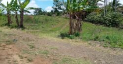 Agricultural Land for Sale at PONT BONDIEU