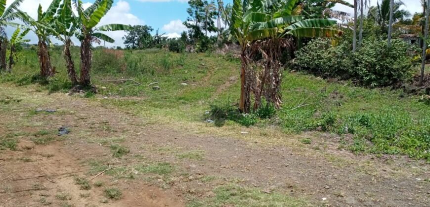 Agricultural Land for Sale at PONT BONDIEU