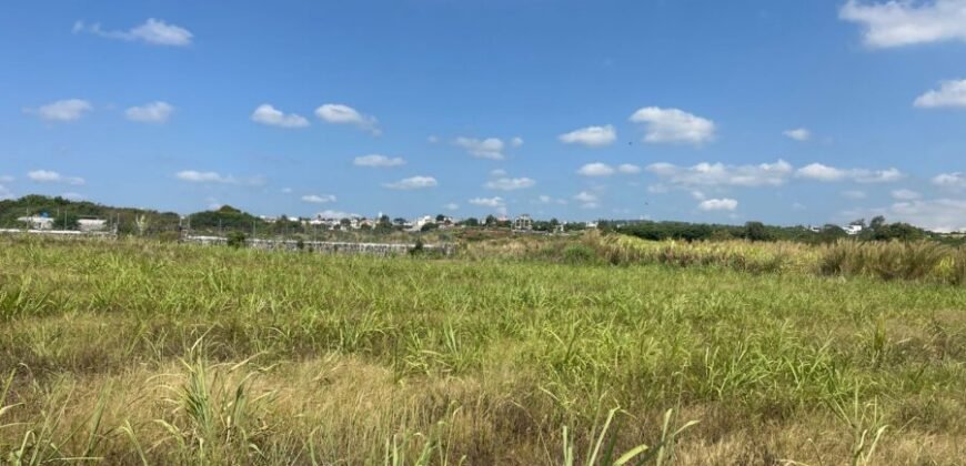 Land for Sale @ CANDOS – SOLFERINO – BASSIN