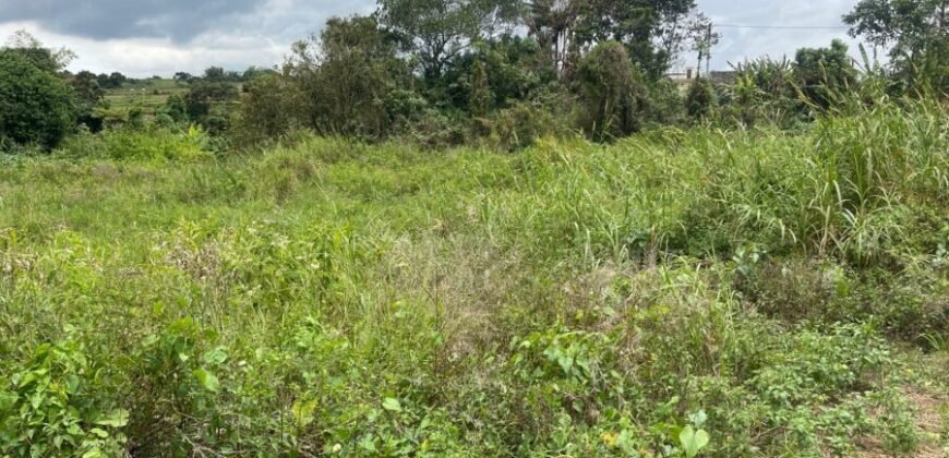 Land for Sale @ GLEN PARK, VACOAS – PLAINE WILHEMS