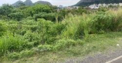 Great Residential Land for Sale in Palma, Quatre Bornes!