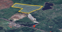 Prime Agricultural Land for Sale in Laventure, Flacq