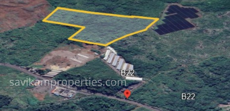 Prime Agricultural Land for Sale in Laventure, Flacq