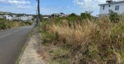 Land for Sale in Montreal Coromandel, Avenue Zinnia