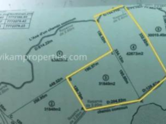 Prime Agricultural Land for Sale in Laventure, Flacq