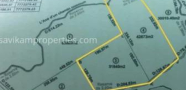 Prime Agricultural Land for Sale in Laventure, Flacq