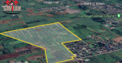 Agricultural Land for Sale in Deux Bras, Grand Port