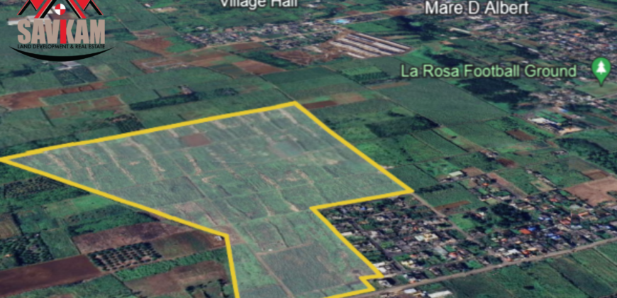 Agricultural Land for Sale in Deux Bras, Grand Port