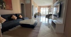 Appartment for rent at sodnac dreamton park