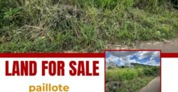 PRIME LAND FOR SALE – PAILLOTE