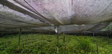 Land for Sale in Nouvelle France