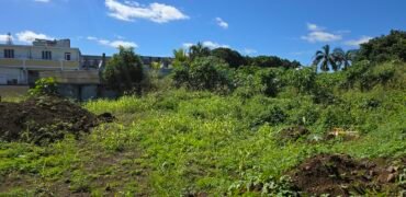 Land for Sale – Vieux Quatre Bornes