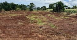 Land for Sale at Pointe aux Piments