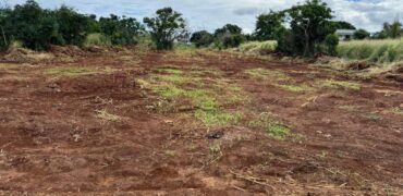 Land for Sale at Pointe aux Piments