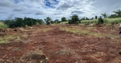 Land for Sale at Pointe aux Piments