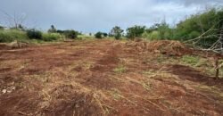 Land for Sale at Pointe aux Piments
