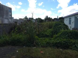 Land For Sale at Glen Park Vacoas