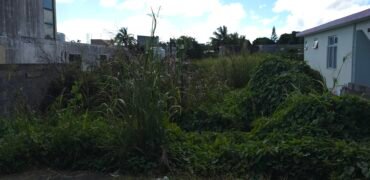 Land For Sale at Glen Park Vacoas