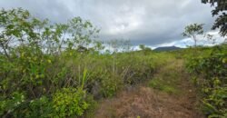 Agricultural land for sale in Bois Cheri