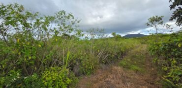 Agricultural land for sale in Bois Cheri