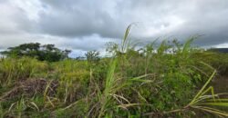 Agricultural land for sale in Bois Cheri