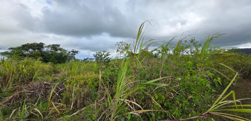 Agricultural land for sale in Bois Cheri