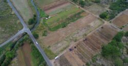 Agricultural Land for sale in Bassin