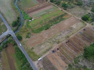 Agricultural Land for sale in Bassin