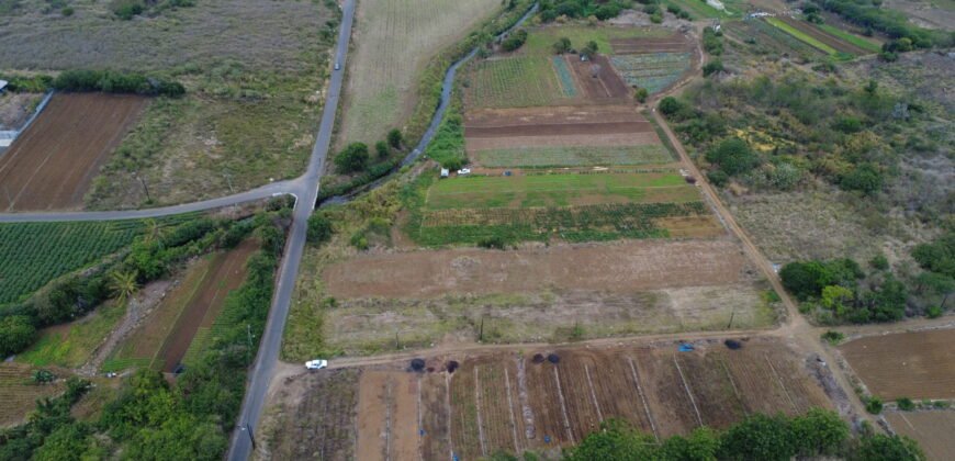 Agricultural Land for sale in Bassin