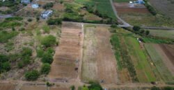 Agricultural Land for sale in Bassin