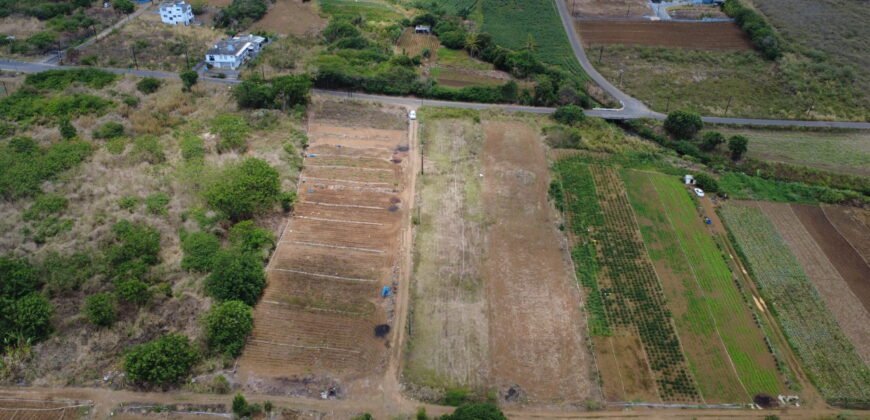 Agricultural Land for sale in Bassin