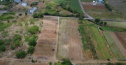 Agricultural Land for sale in Bassin