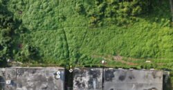 Poultry Farm For Sale at St Pierre