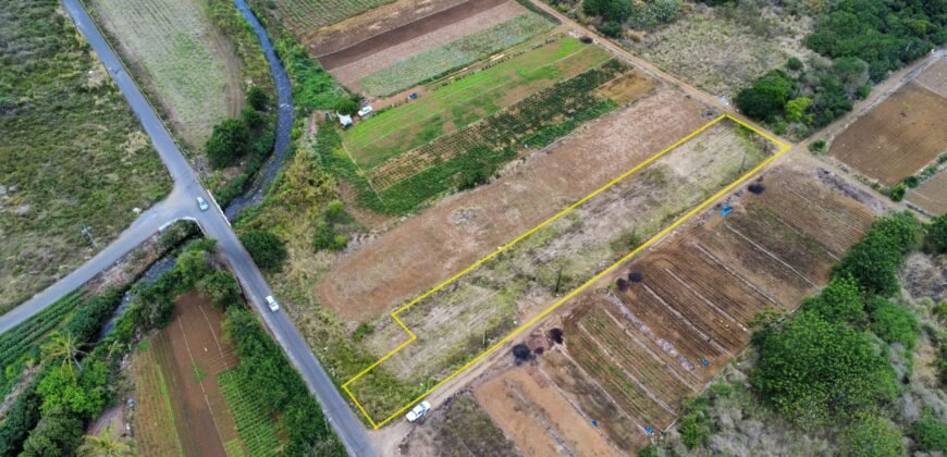 Agricultural Land for sale in Bassin