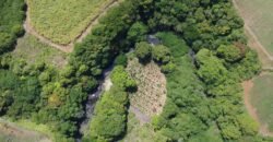 Agricultural Land for sale located between L’Escalier and Rivière du Poste