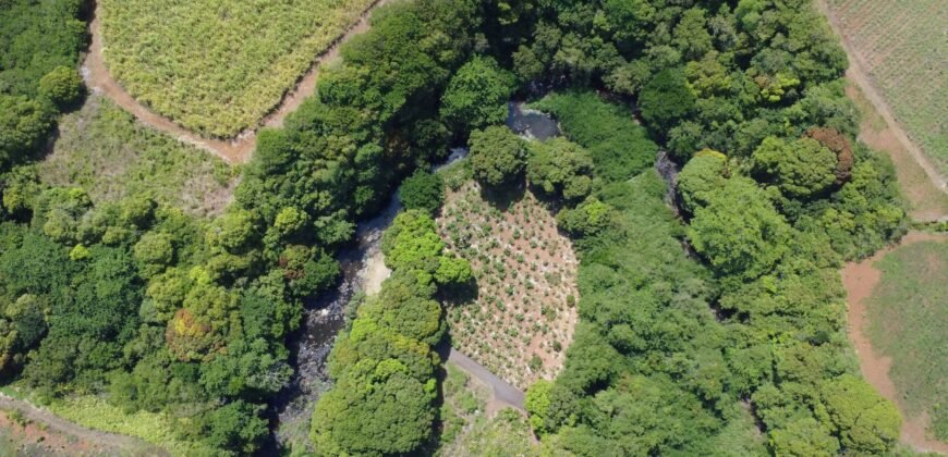 Agricultural Land for sale located between L’Escalier and Rivière du Poste