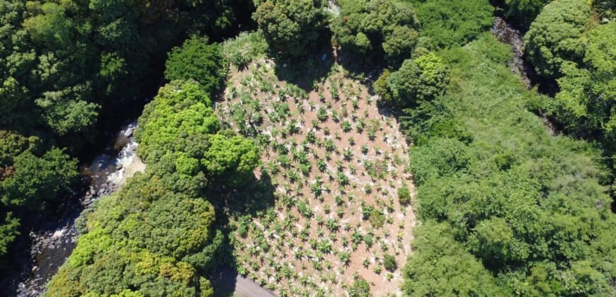 Agricultural Land for sale located between L’Escalier and Rivière du Poste