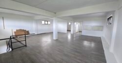 Commercial Building for Rent –Hollyrood/vacoas-devergue st