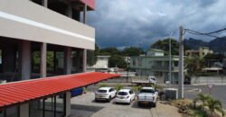 COMMERCIAL BUILDING FOR RENT